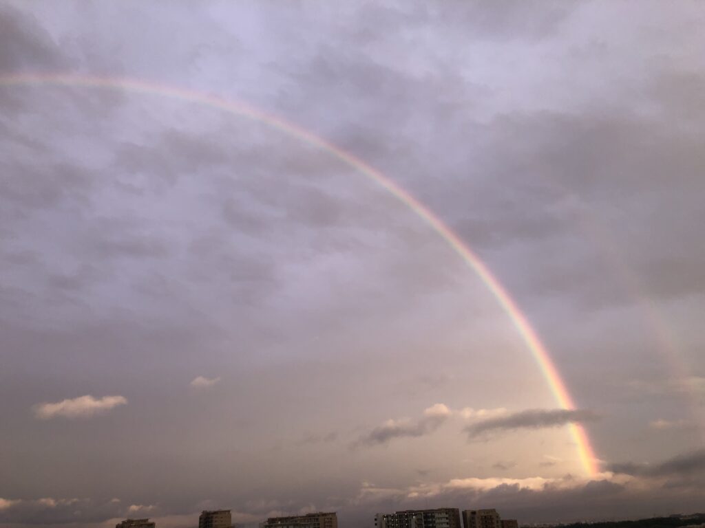 ダブルレインボー🌈🌈 | NeNeRiNoブログ